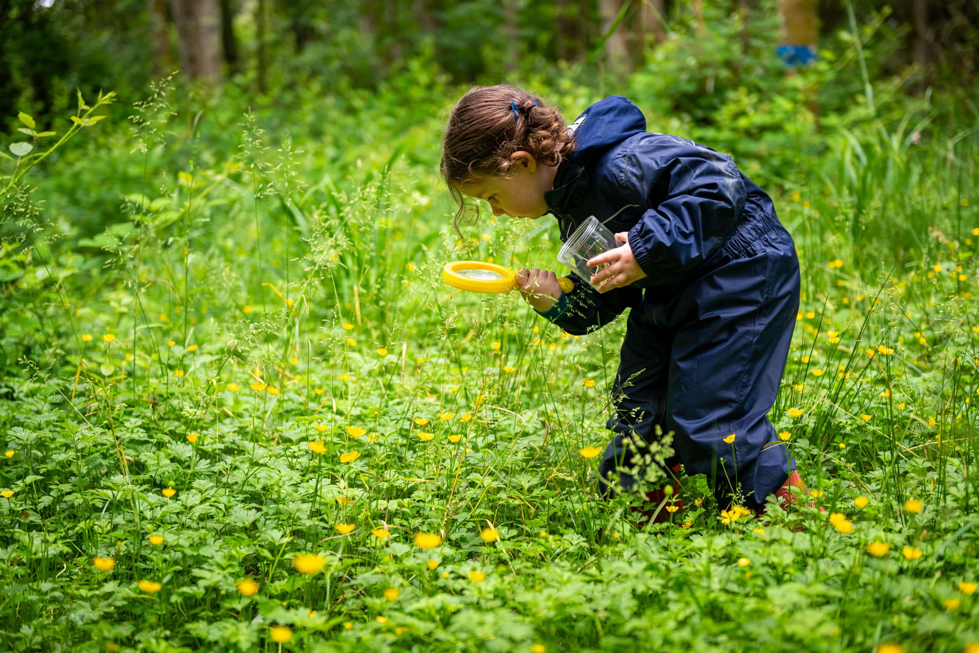 Prep children looking through a magnifying glass at forest school