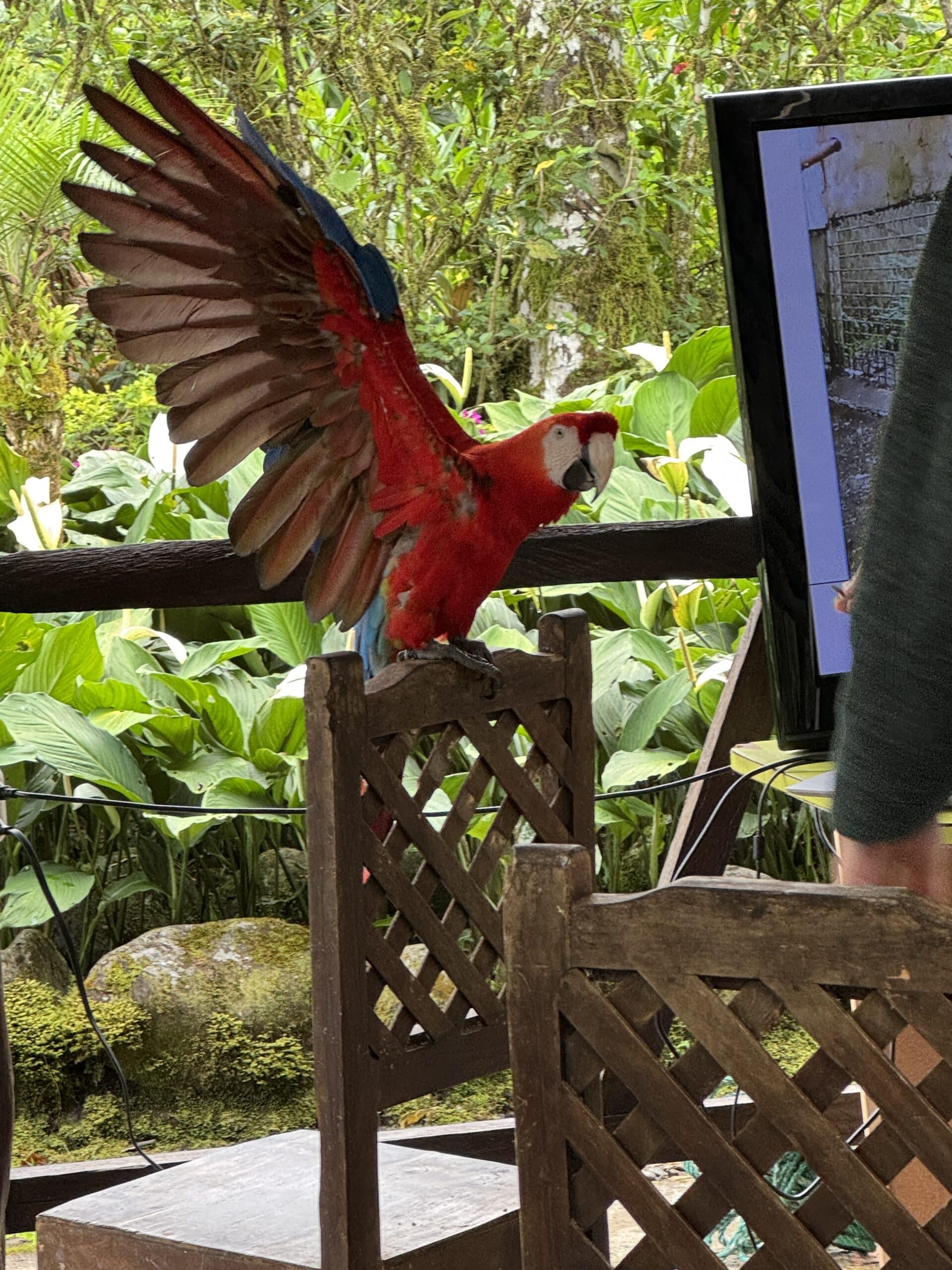 Ardingly College students on school trip to Ecuador and the Galapagos Islands, seeing biodiversity, amimals, the equator