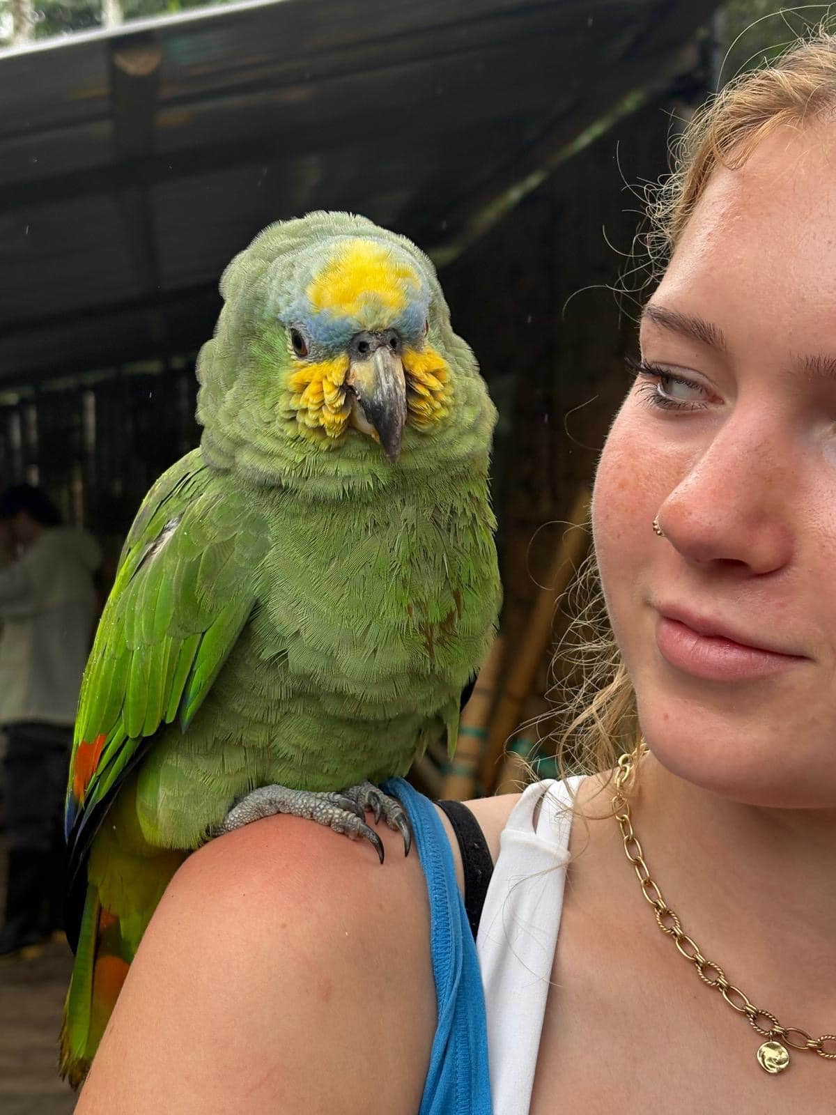 Ardingly College students on school trip to Ecuador and the Galapagos Islands, seeing biodiversity, amimals, the equator